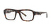 GREY HAVANA   3356 / 53