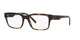 GREY  HAVANA    3356 / 55