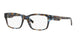 BLUE &  TORTOISE   3357 / 55