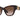DOLCE GABBANA 0DG 4404 - Dayal Opticals   