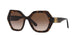 TORTOISE    502/13 / 54