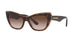 HAVANA    325613 / 54