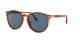 BROWN TORTOISE  96/56 / 53