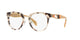 BROWN    UAO101 / 51