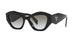 BLACK   1AB0A7 / 53