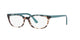 TORTOISESHELL    4751O1 / .
