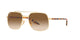 GOLD &  TORTOISE     001/51 / 56