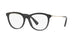 LIGHT GOLD BLACK     3003 / 53