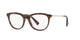 LIGHT GOLD HAVANA    3021 / 53