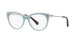 TRASPARENT SAGE   5089 / 50