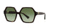 TORTOISE      30028E / 58