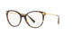 DARK  HAVANA  108 / .