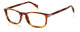 BROWN  HORN    EX4 / 51