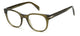 OLIVE    4C3 / 50