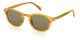 YELLOW HORN    B4L / 49