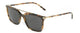 BROWN & TORTOISE    314180 / 55