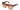 TOM FORD   0847 - Dayal Opticals   