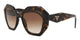 TORTOISESHELL   2AU6S1 / 53