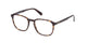 DARK HAVANA    52 / .