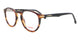 BROWN HORN   EX4 / 49