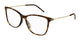 HAVANA  GOLD  TRANSPARENT  002 / 53