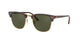GOLD   TORTOISE    W0366 / 51