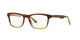 BROWN   5542 / 55