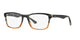 BLUE & BROWN   5543 / 55