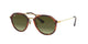 BROWN TRANSPARENT GOLDEN      820/A6 / .