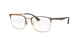 TORTOISE GOLDEN   3001 / 52