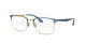 MATTE BLUE & GOLD  3002 / .