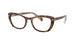 TORTOISE   5082 / 54