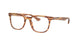 TORTOISESHELL    5797 / .