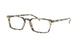 HAVANA  BEIGE    5878 / .