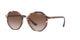 BEIGE BROWN    269513 / .