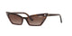 TORTOISE     W65613 / .