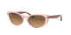 TRASPARENT LIGHT BROWN   128151 / 54