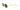 RAY BAN   0RB 3547 - Dayal Opticals   
