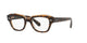 BLACK & TRANSPARENT BROWN   8096 / 48
