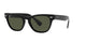 BLACK    901/31 / 54