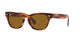 HAVANA    954/33 / 54