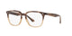 GRADIENT BROWN HAVANA  8107 / 51