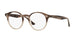 GRADIENT BROWN HAVANA    8107 / 49
