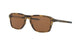POLISHED  BROWN  TORTOISE  946904 / 54