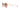 VOGUE   4091BI - Dayal Opticals   