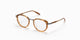 DARK TORTOISE  AKX409-B / 49