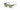 Akoni Columba Matte Crystal Grey Aks100E Size 54, Sunglasses - Dayal opticals  