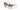 Akoni Lyra Nude & Grey Swirl Aks106C Size 55 , Sunglasses - Dayal opticals    