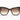 Akoni Vela Dark Tortoise Aks102B , Sunglasses - Dayal opticals  