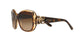 BROWN   537913 / .